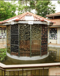 Cambodia Landmine Museum