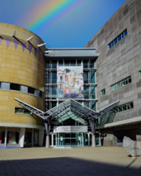 Museum of New Zealand Te Papa Tongarewa